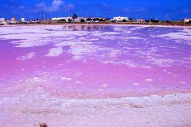The Salinas of Formentera