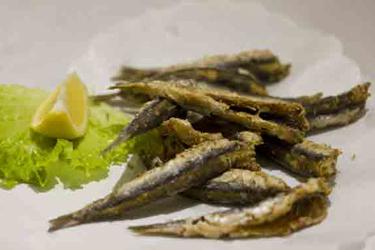 What to eat in Procida