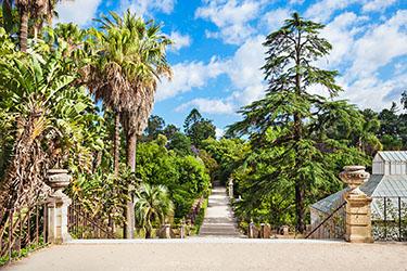 The Botanical Garden