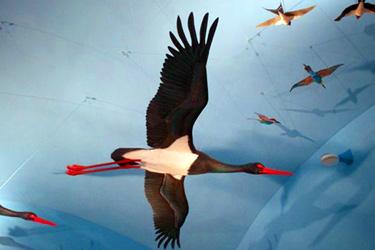 The Migration Museum and Birdwatching Observatory of Ventotene