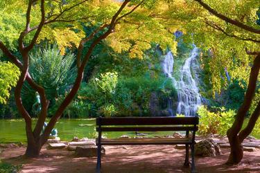 The Park of Margaret Island in Budapest