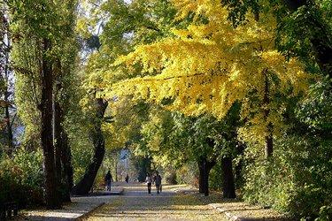 The nature of Margaret Island in Budapest